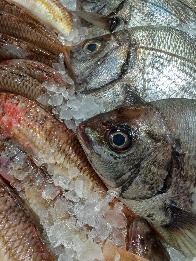 Poissonneries, photo 9 sur 18