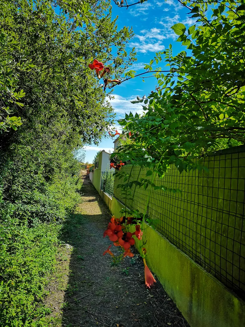 Vibrance, photo 16 sur 18