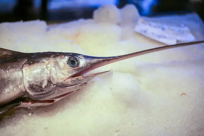 Poissonneries, photo 11 sur 18