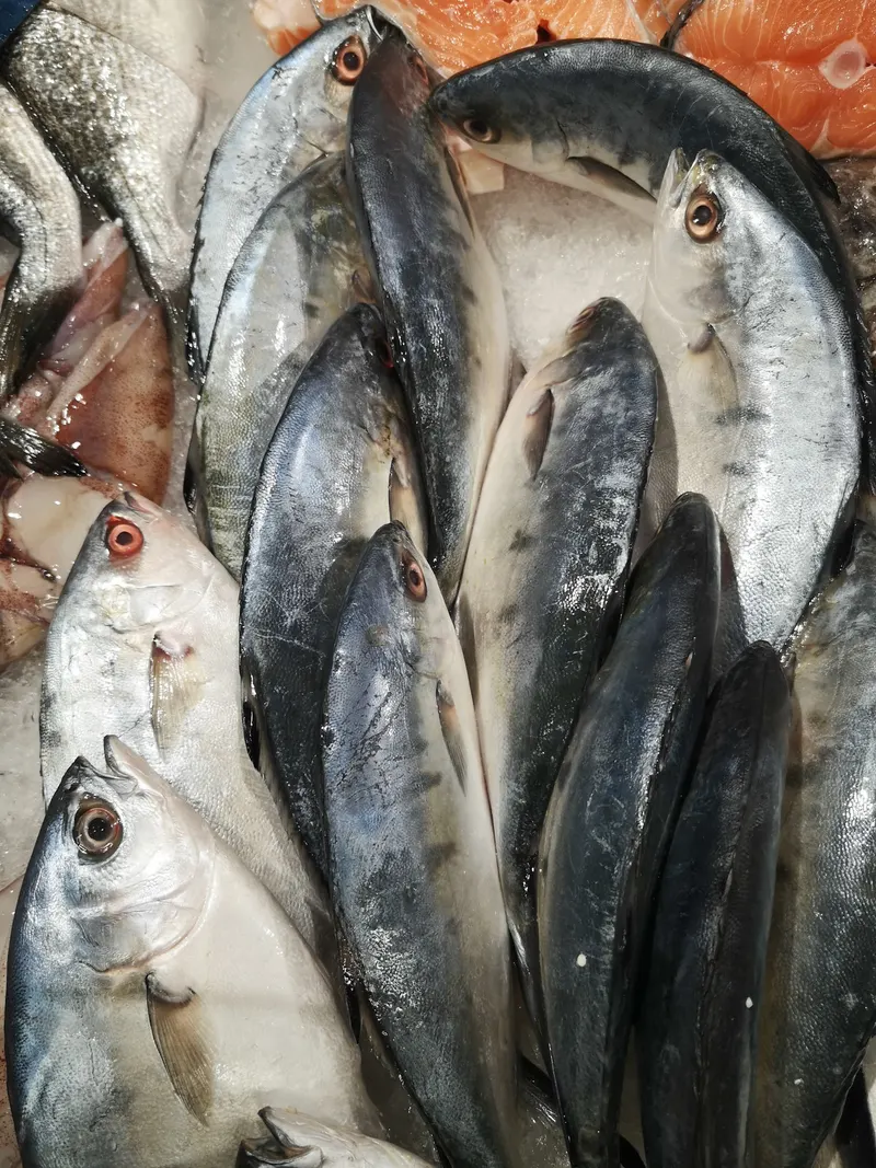 Poissonneries, photo 6 sur 18