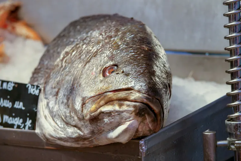 Poissonneries, photo 14 sur 18