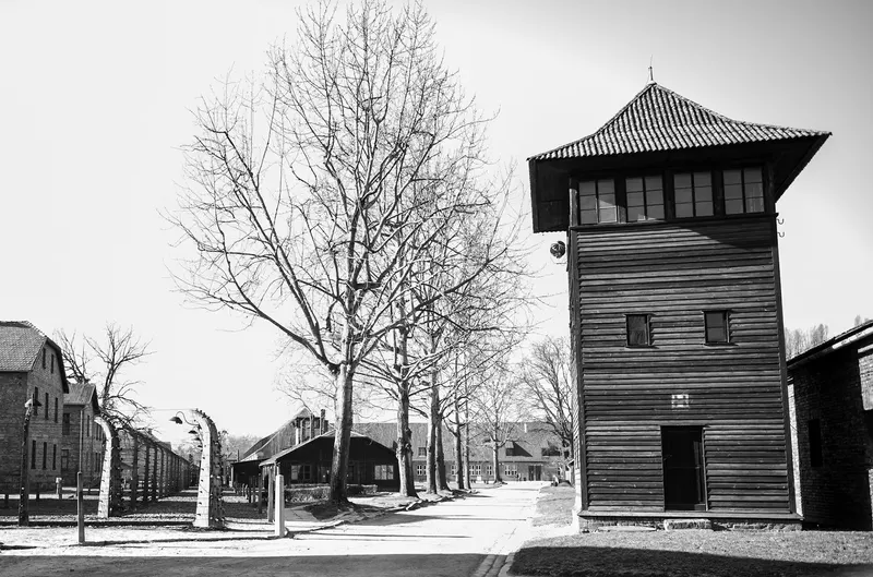 Auschwitz-Birkenau, photo 28 sur 40