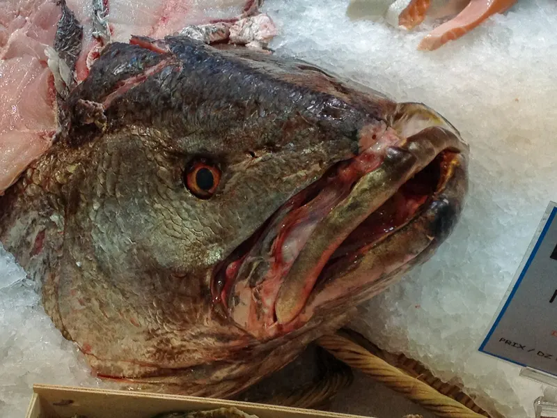 Poissonneries, photo 12 sur 18