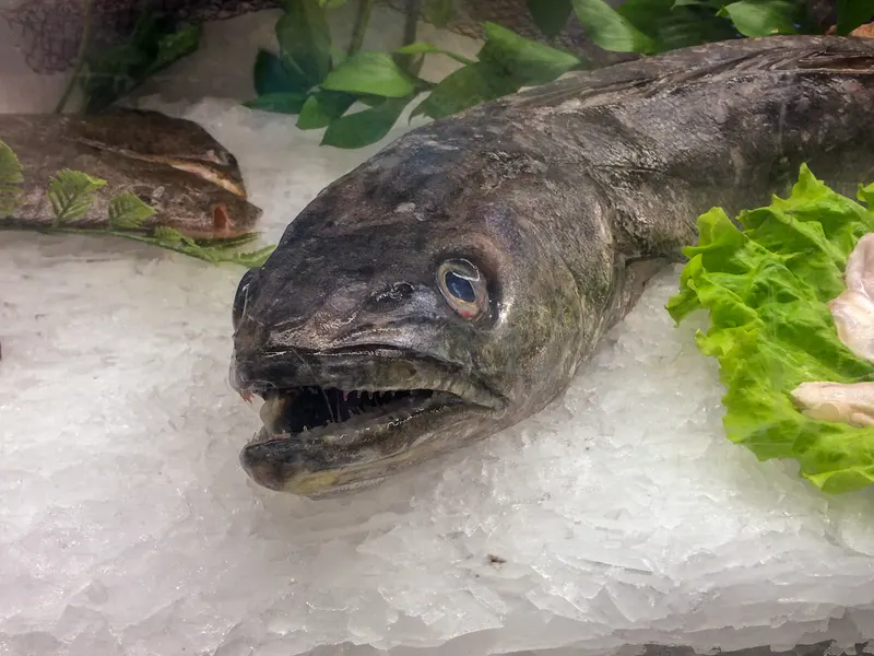 Poissonneries, photo 13 sur 18
