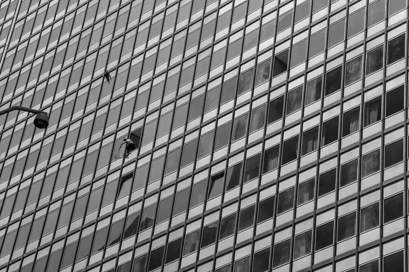 Noir, photo 6 sur 18