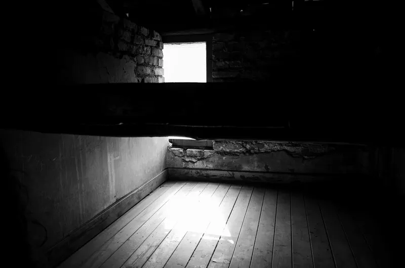 Auschwitz-Birkenau, photo 39 sur 40