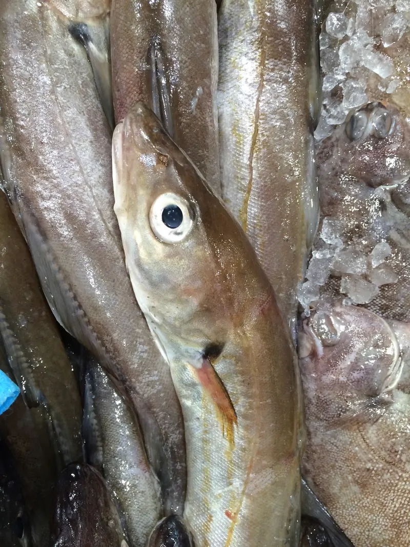 Poissonneries, photo 4 sur 18
