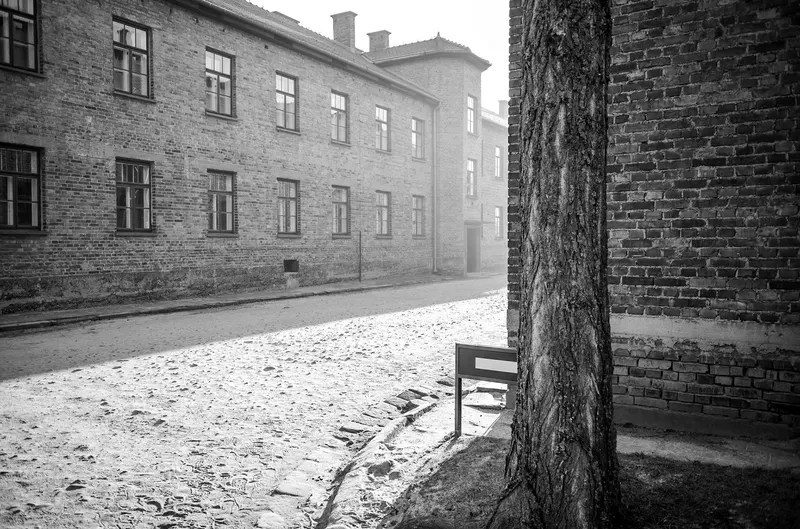 Auschwitz-Birkenau, photo 10 sur 40