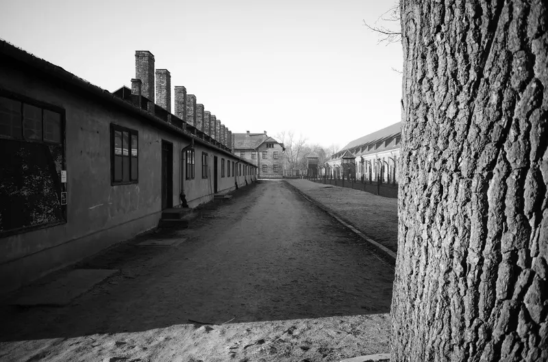Auschwitz-Birkenau, photo 7 sur 40