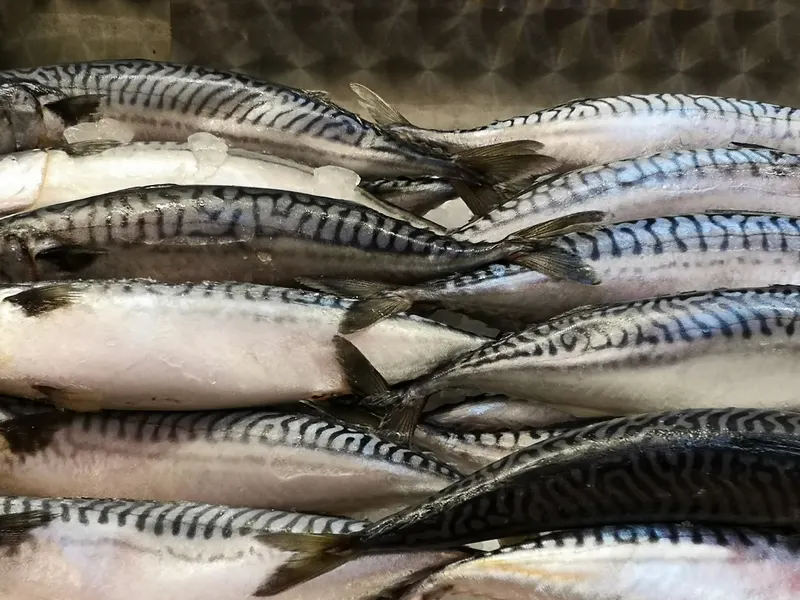 Poissonneries, photo 1 sur 18