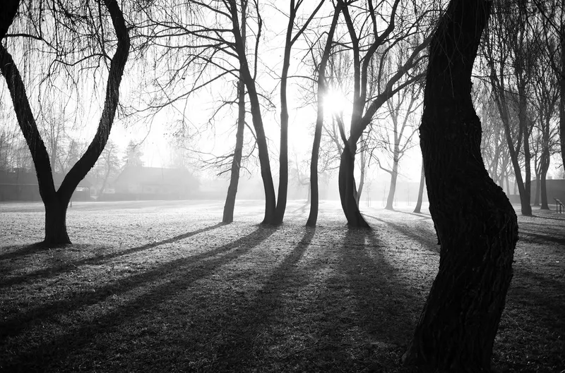 Auschwitz-Birkenau, photo 12 sur 40