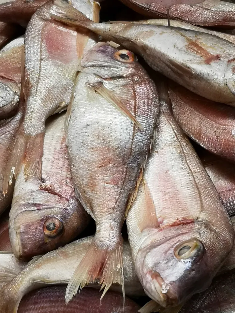 Poissonneries, photo 7 sur 18