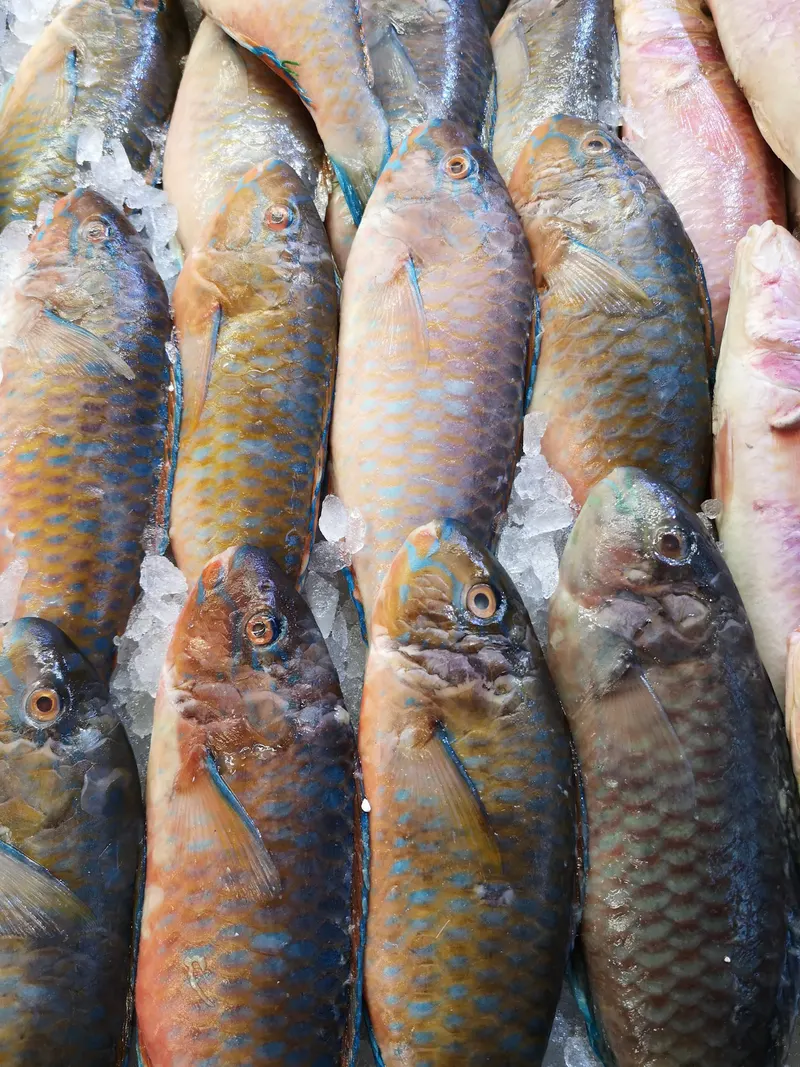 Poissonneries, photo 5 sur 18
