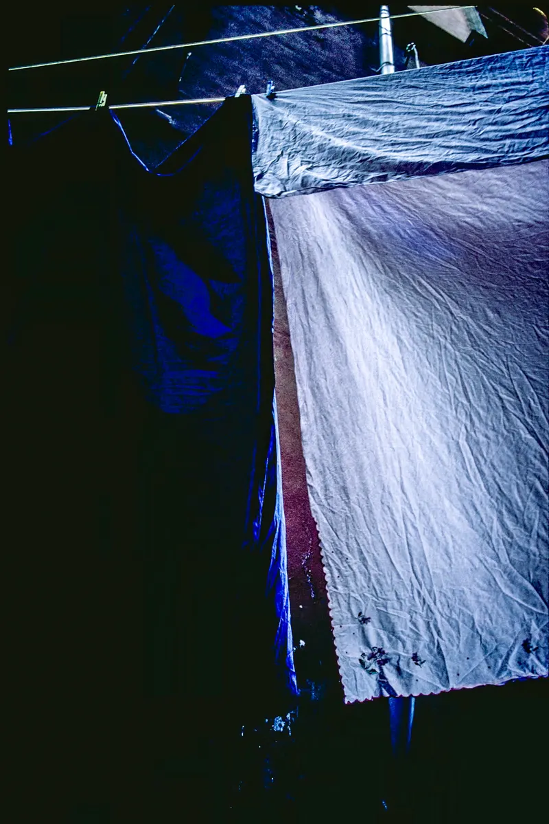 Vibrance, photo 1 sur 18