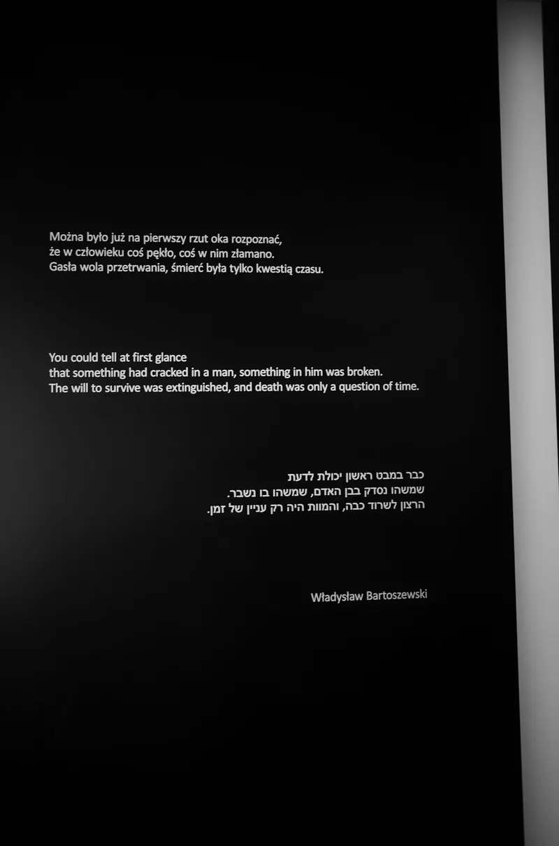 Auschwitz-Birkenau, photo 15 sur 40